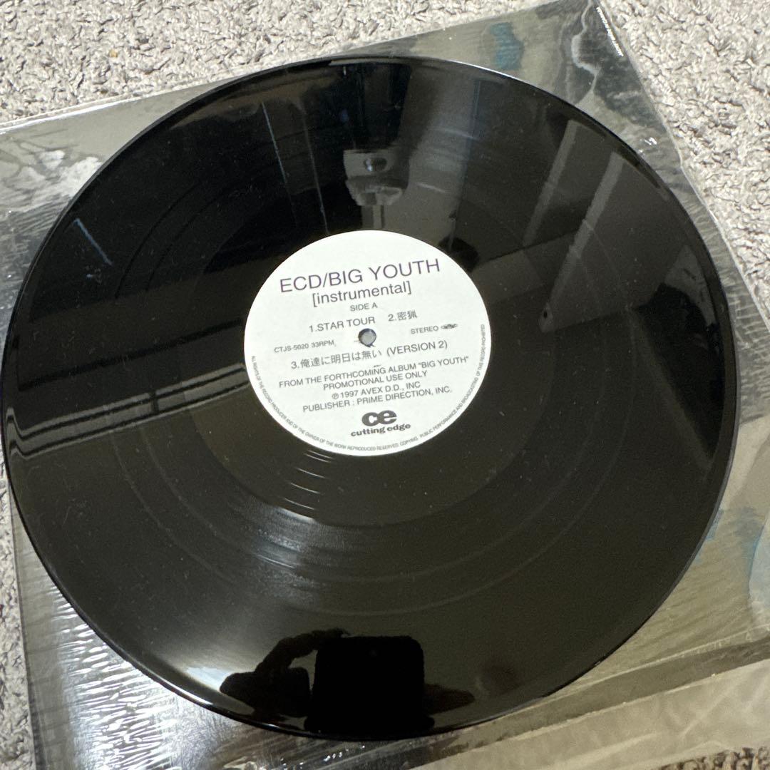 ECD/BIG YOUTH [instrumental] アナログ