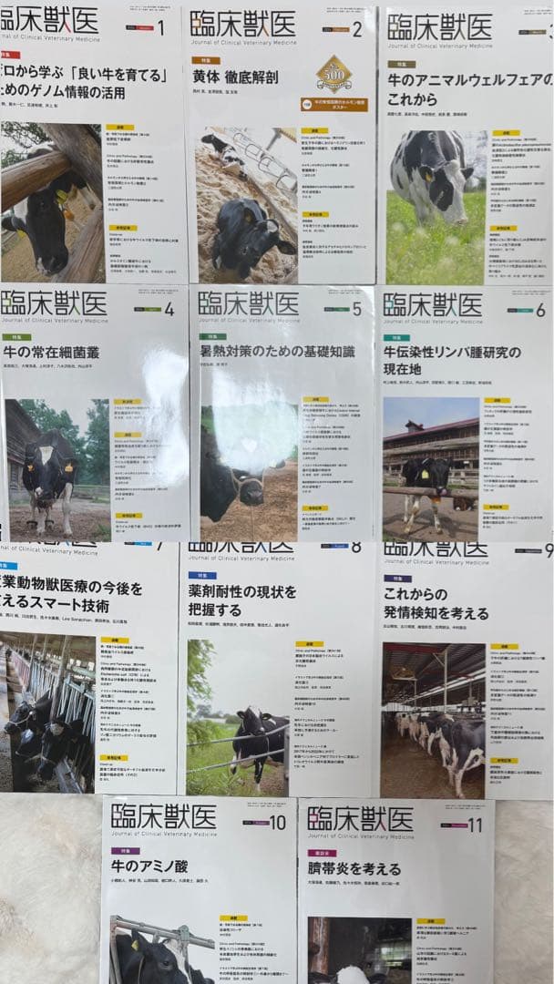 【パンダヤサン様】臨床獣医 2023年1月〜2024年11月号23冊