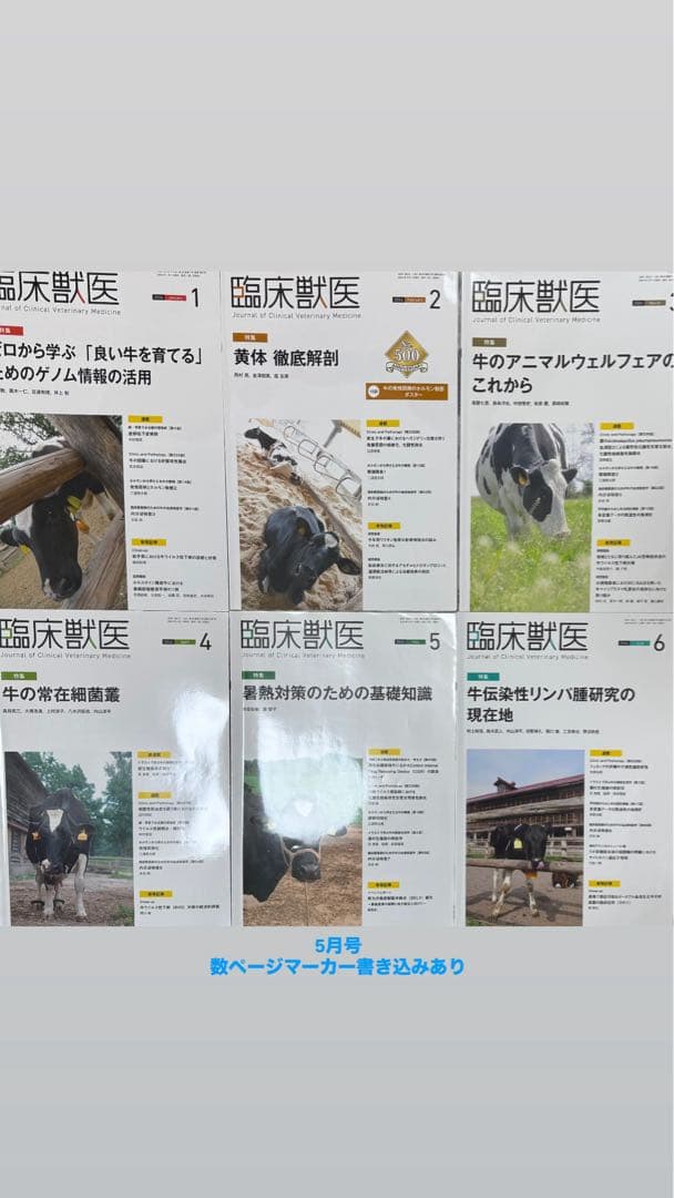 【パンダヤサン様】臨床獣医 2023年1月〜2024年11月号23冊