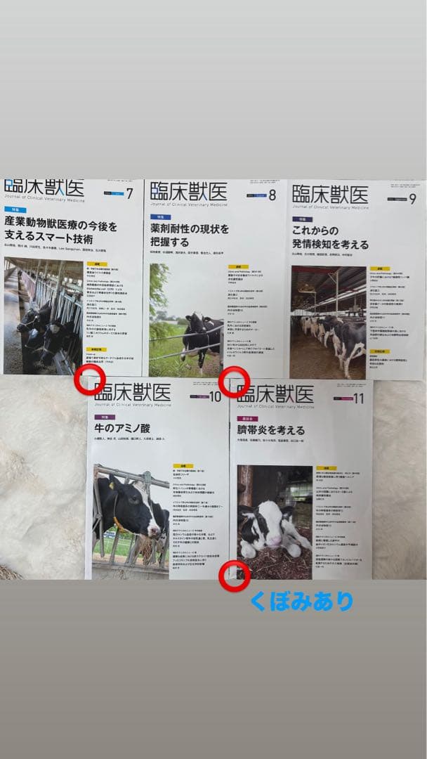 【パンダヤサン様】臨床獣医 2023年1月〜2024年11月号23冊