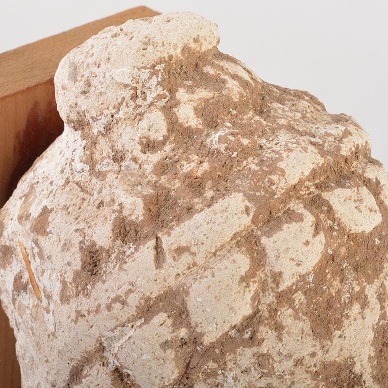 仏教美術　仏頭　石仏　置物　時代箱付　C　6384