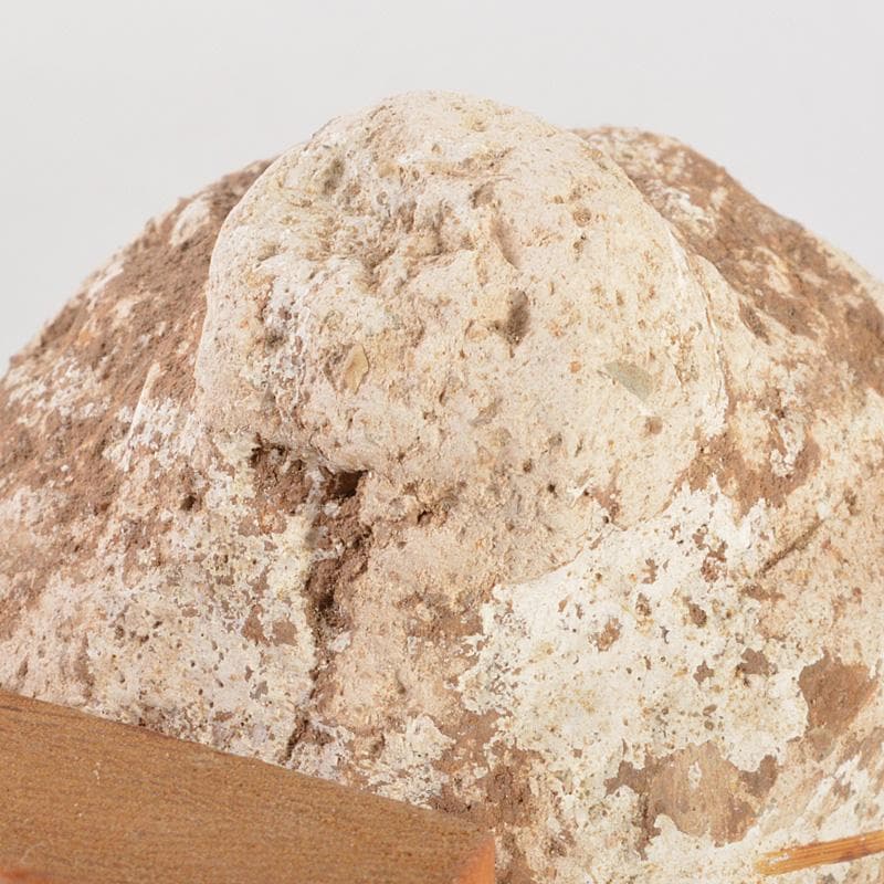 仏教美術　仏頭　石仏　置物　時代箱付　C　6384