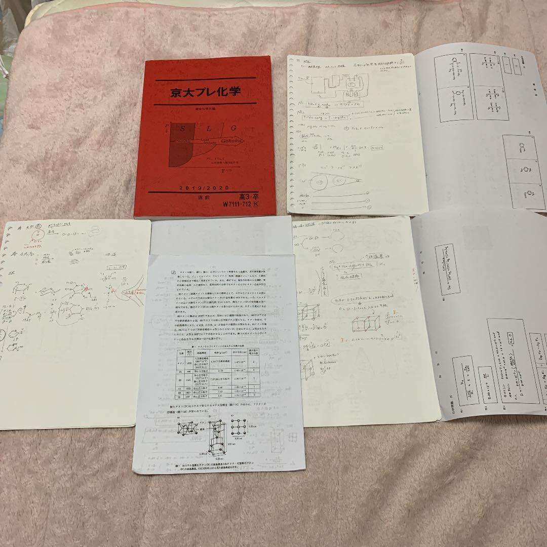 駿台　京大プレ化学　数学　物理　令和2年度