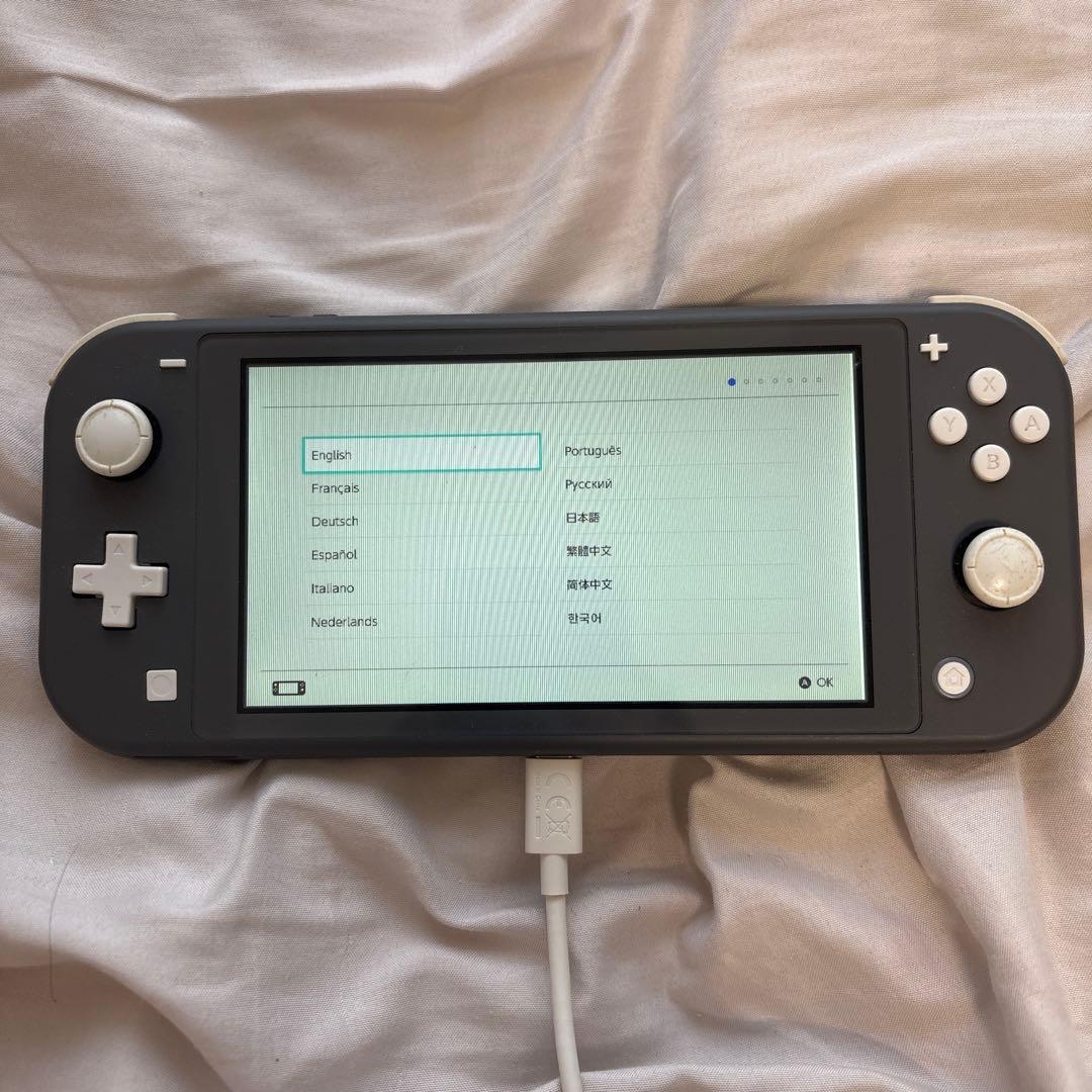 Nintendo Switch Lite グレー 本体　ジャンク品