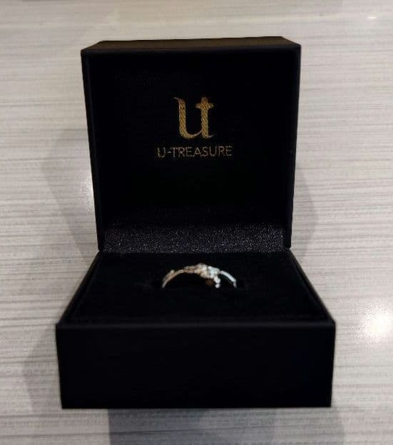 【終遠のヴィルシュ】イヴ モチーフリング シルバー 17号