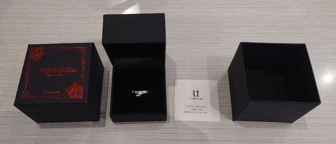 【終遠のヴィルシュ】イヴ モチーフリング シルバー 17号