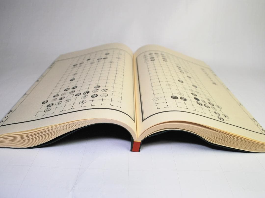 適情録　原本復刻版全２０巻　適情録解説書上下２冊　特製化粧桐箱　呉清源