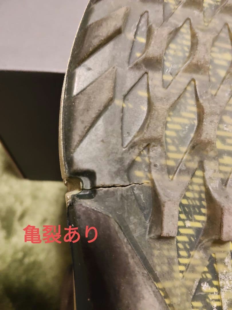 ECCO エコー ゴルフシューズ BIOM H4 BOA