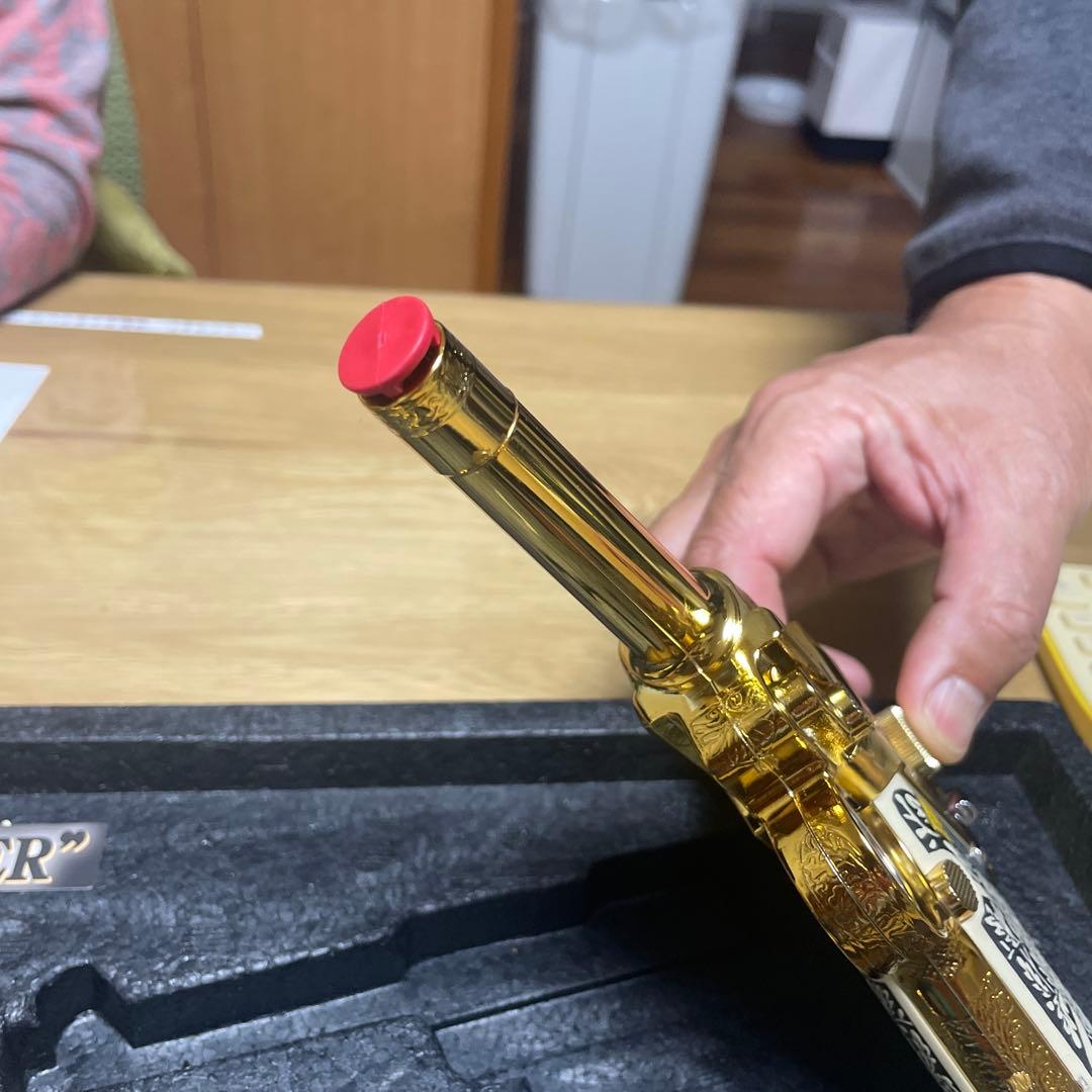 バイオハザード CODE:Veronica アシュフォードゴールドルガー 限定版