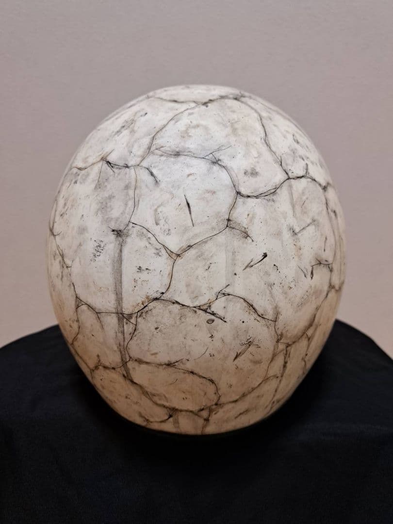 オーシャンビートルMTXカスタムペイント