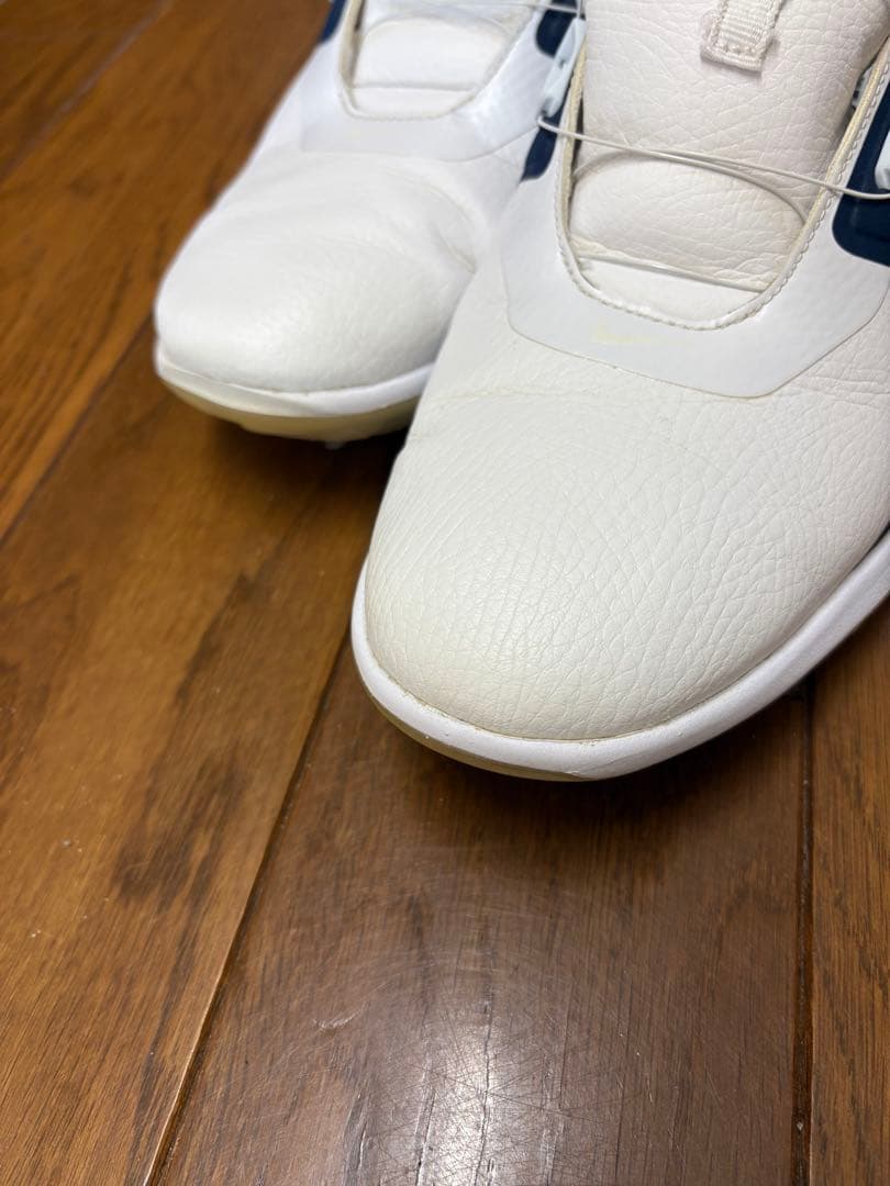 Nike Fitsole ゴルフシューズ BOAシステム　26.0cm