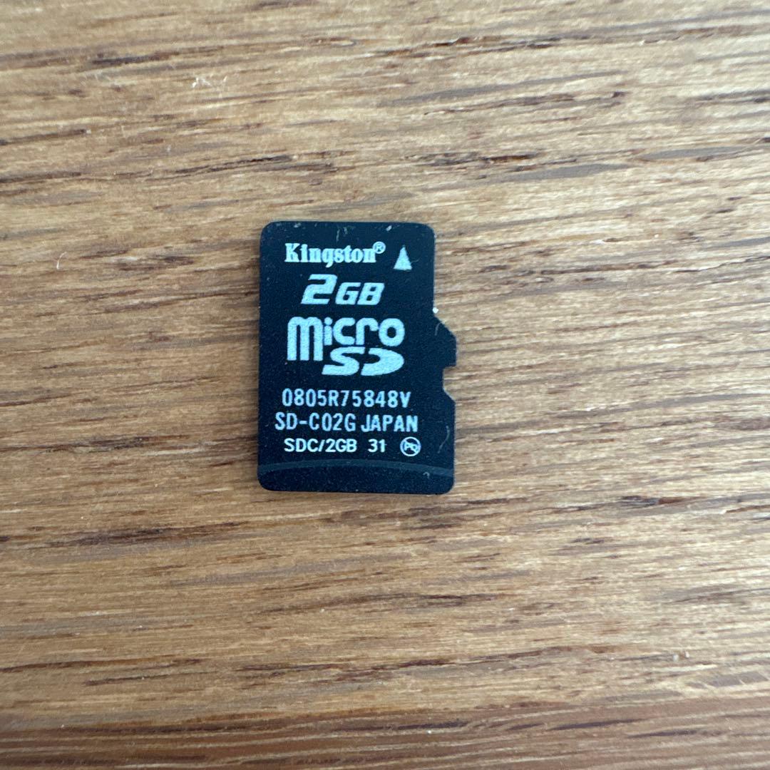 Switch ライト本体　充電器・ケース・マイクロSD付き