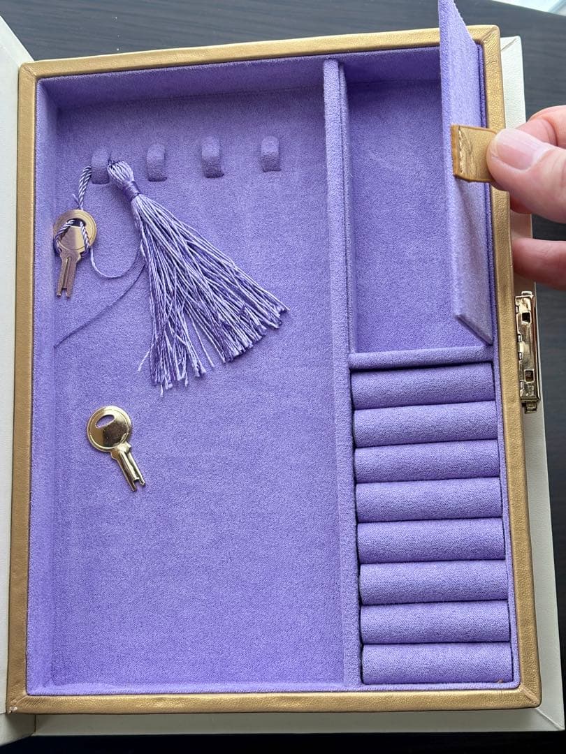 a*e様 美品 ANNA SUI アナスイ ブック型ジュエリーボックス アクセサ