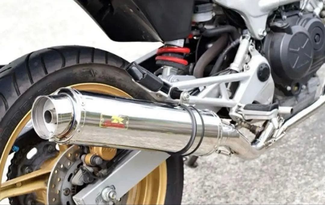 Realize ホンダVTR250 マフラー サイレンサー50.8π