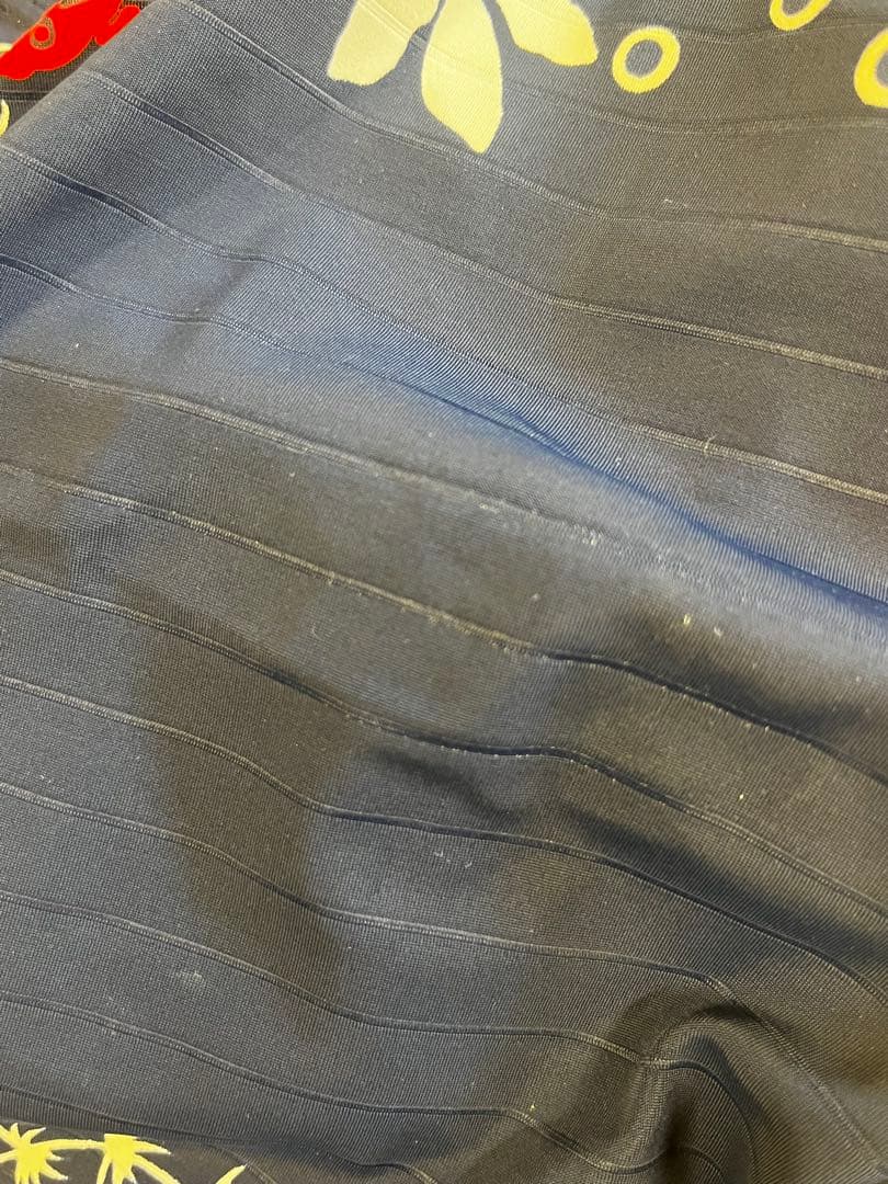 アリーナ 競泳水着 ハイレグ水着 金魚柄サイズSS縦線生地