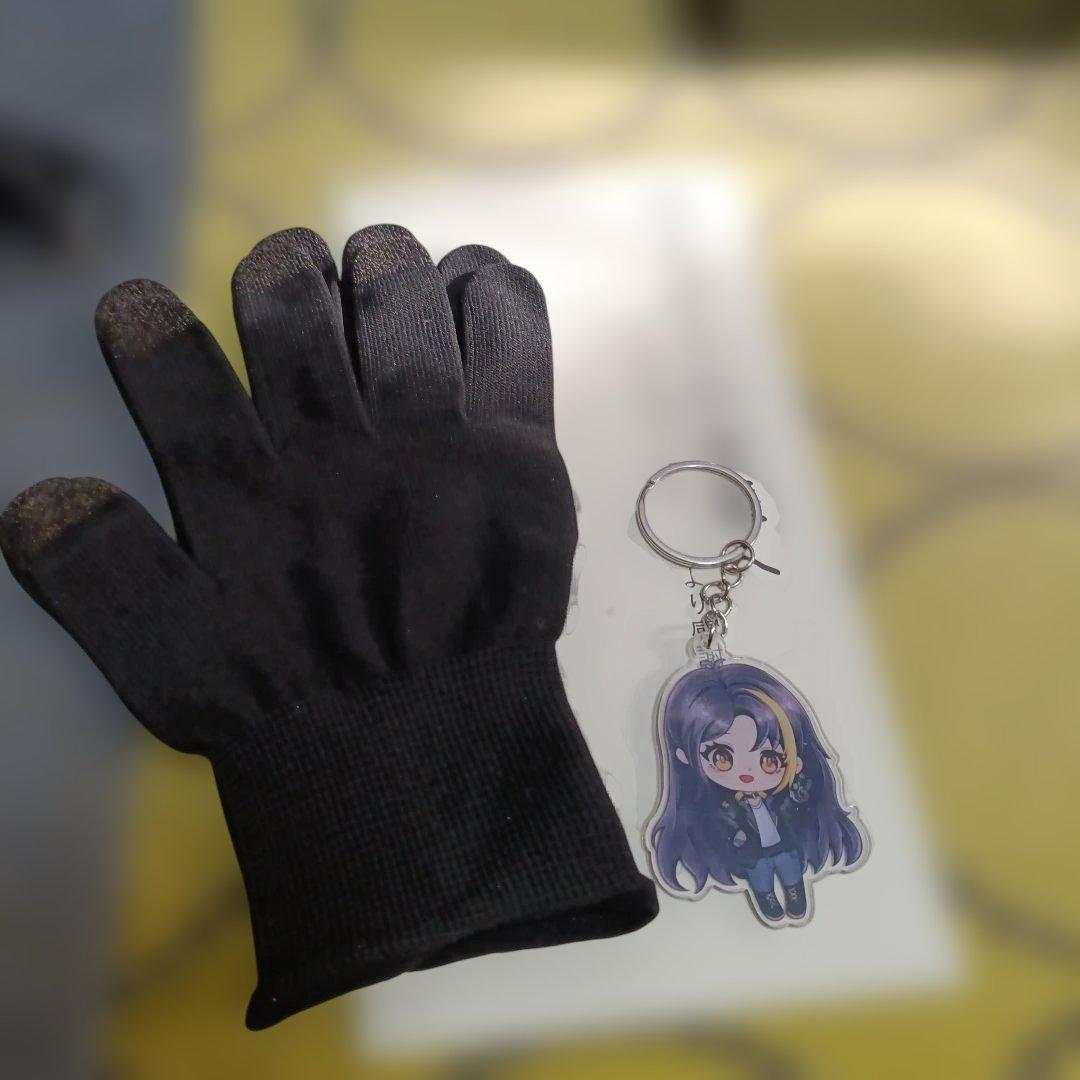 2025モデル HOMPRES電熱グローブ Lサイズ Bタイプ