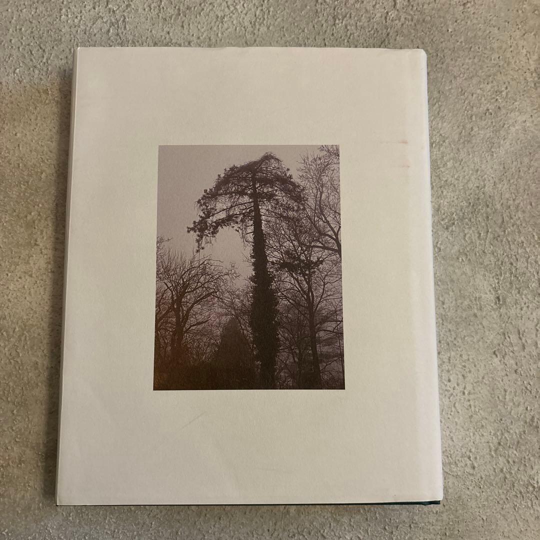 スーザン・チャンチオロ