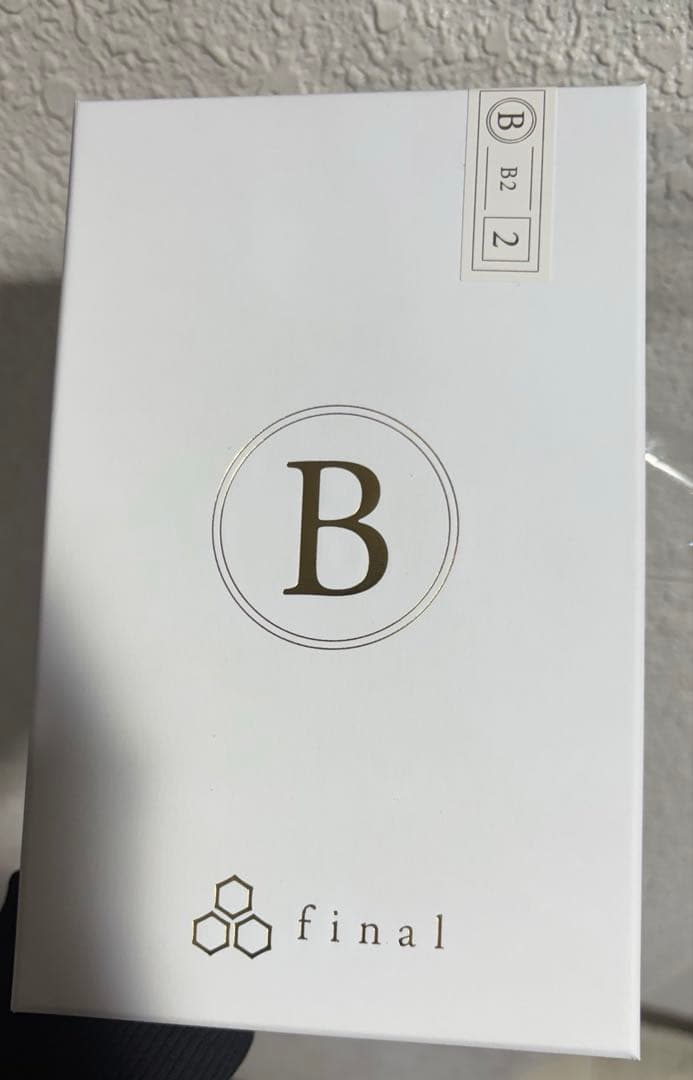 final B2 イヤホン 未使用 ケース付き