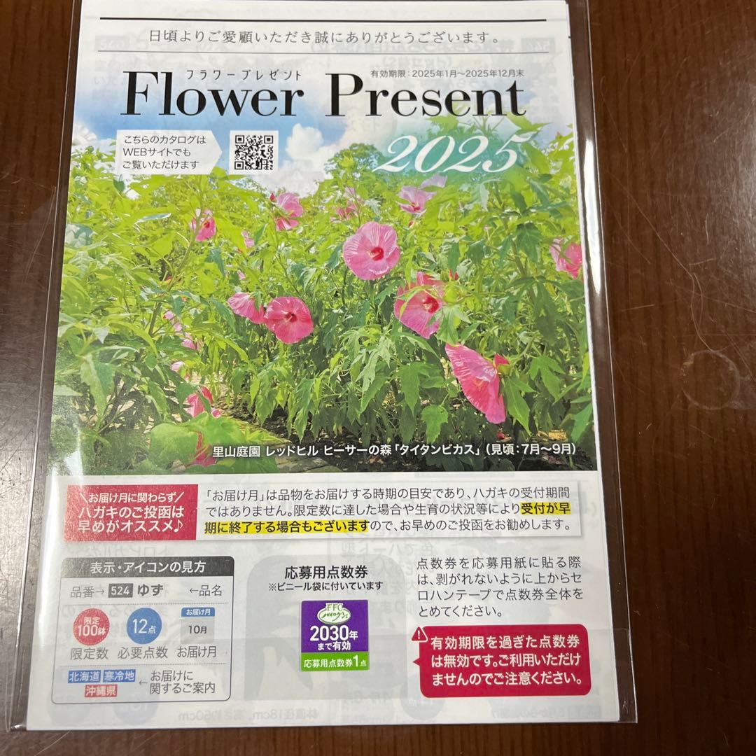 FFC PAIROGEN 6本セット