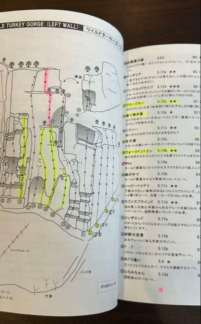 伊豆城山フリークライミングガイド400