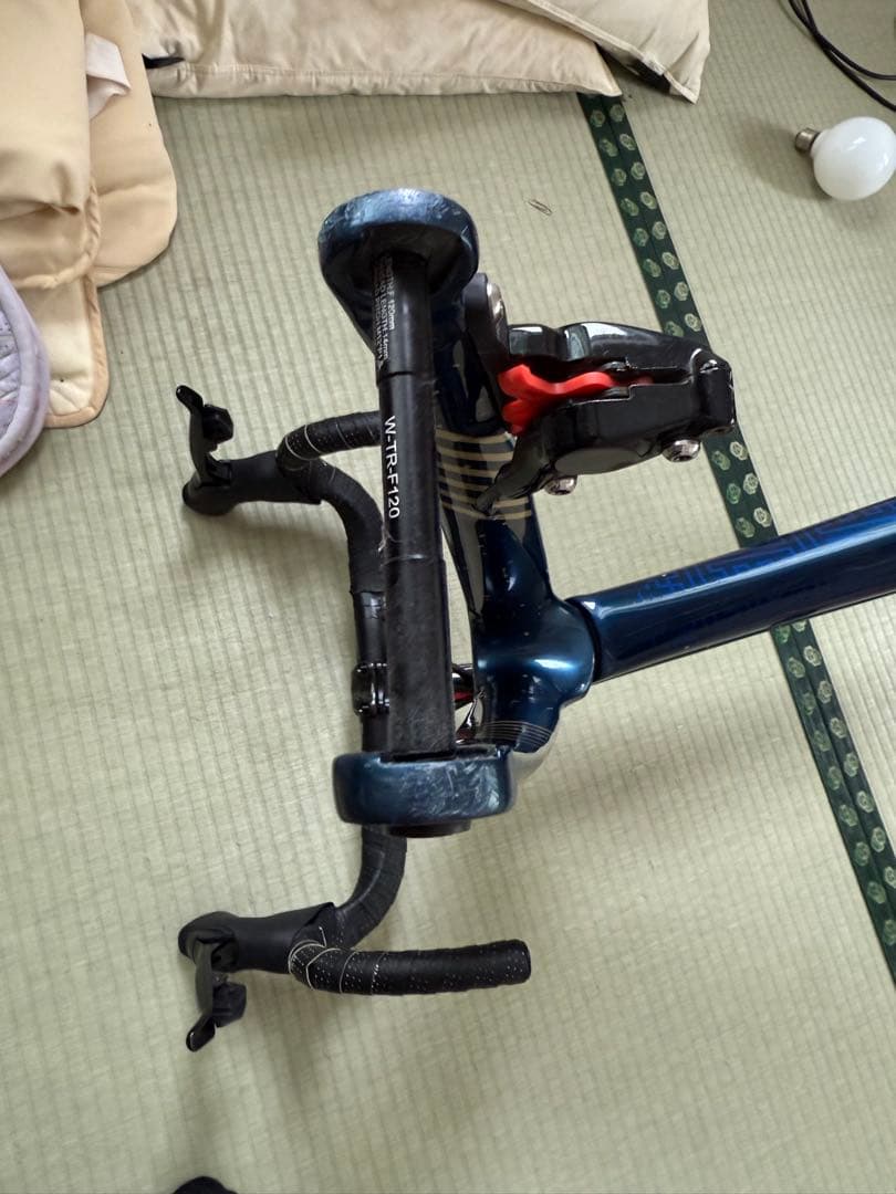 最終値下げWINSPACE ロードバイクフレーム XL スパークル大分カラー