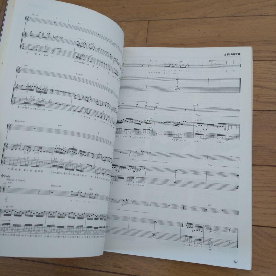 100% 橘高文彦 / ヤングギター増刊 / 筋肉少女帯 / お宝級の極美本