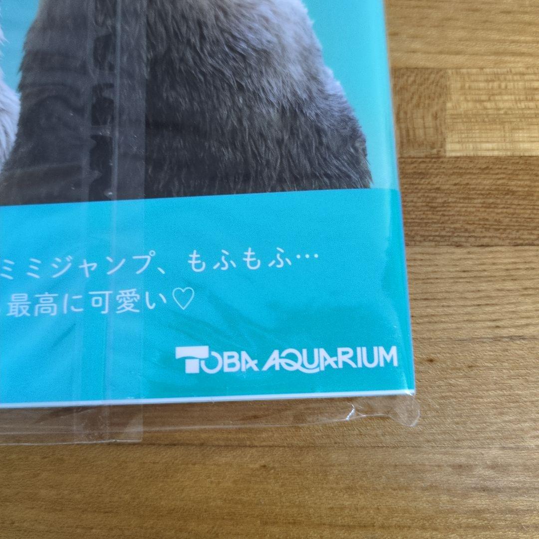 鳥羽水族館オリジナル写真集　ラッコのメイとキラ　未使用