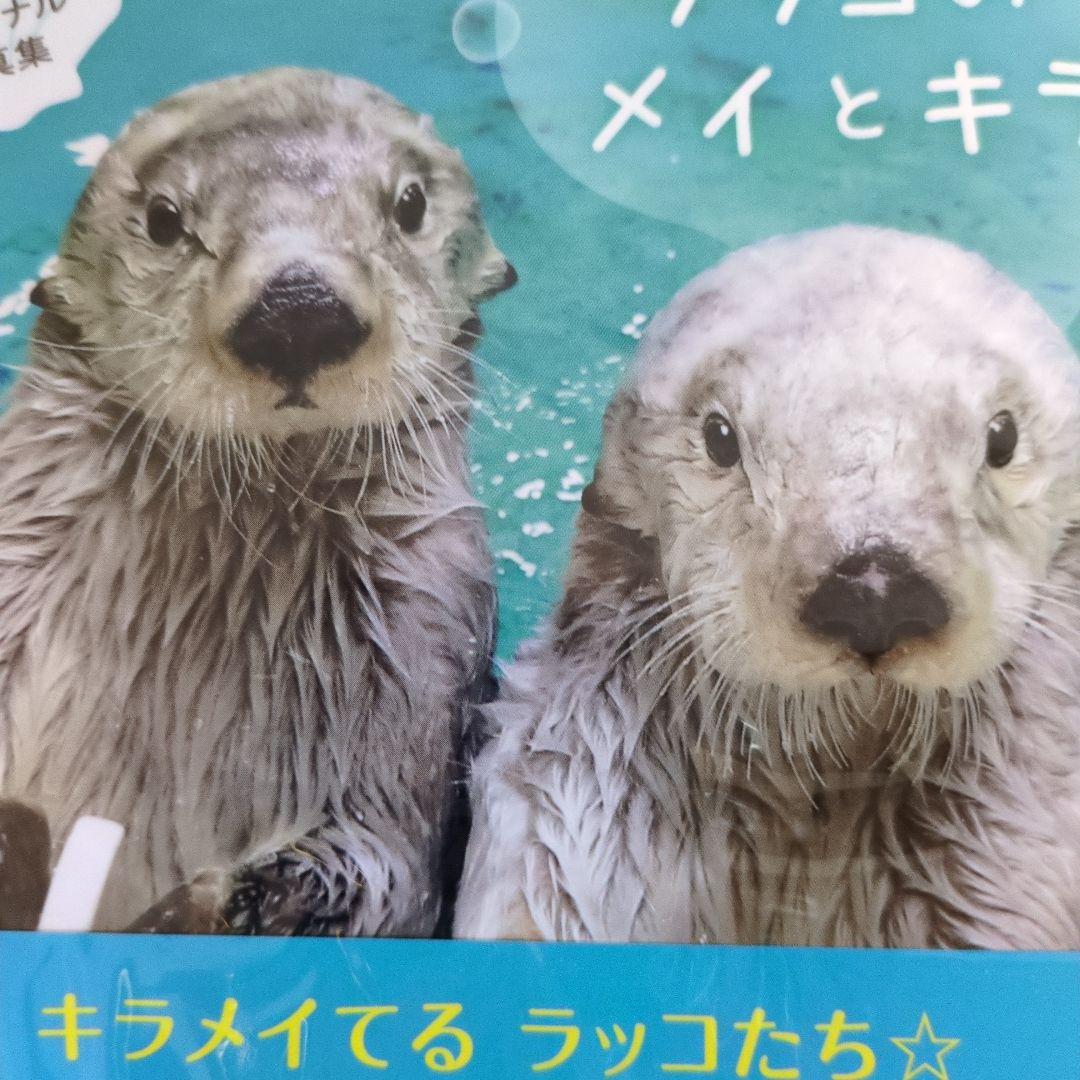 鳥羽水族館オリジナル写真集　ラッコのメイとキラ　未使用
