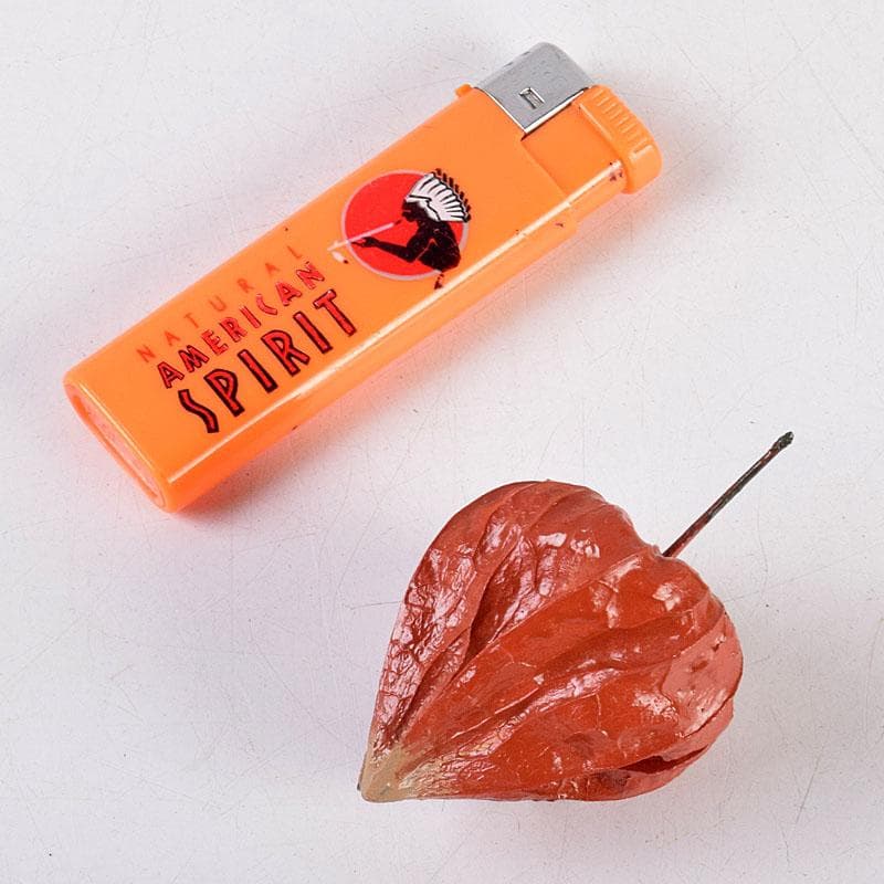 茶道具　田中健智作　乾漆　ほおずき香合　共箱　V　8387