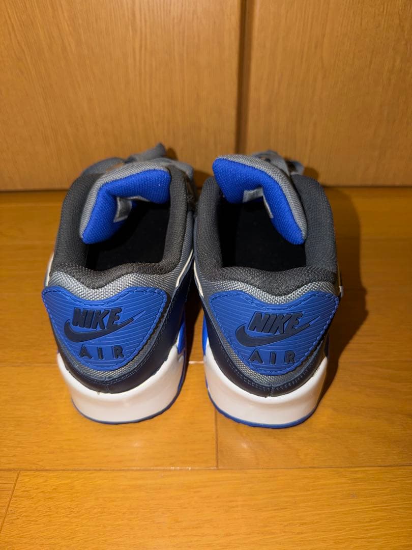 靴 NIKE AIR MAX 90 GTX
