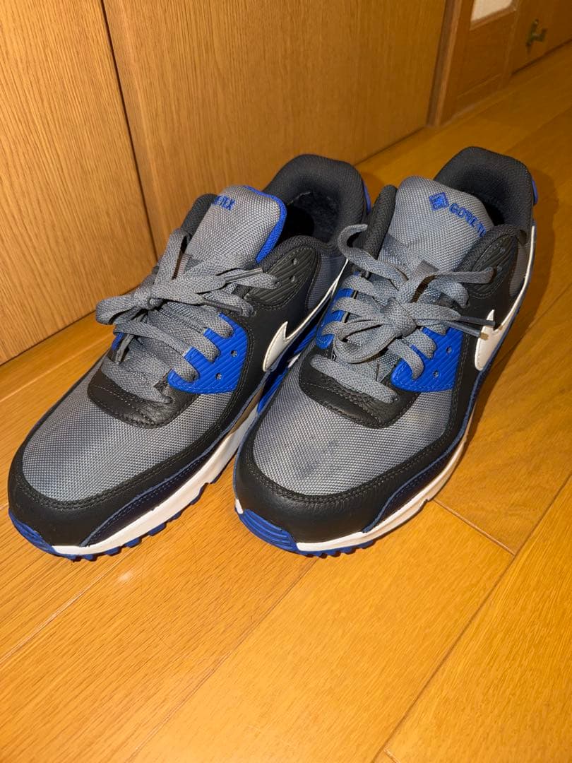靴 NIKE AIR MAX 90 GTX