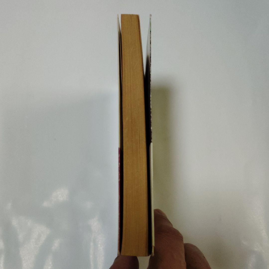 仮面の破壊者　アドベンチャーゲームブック