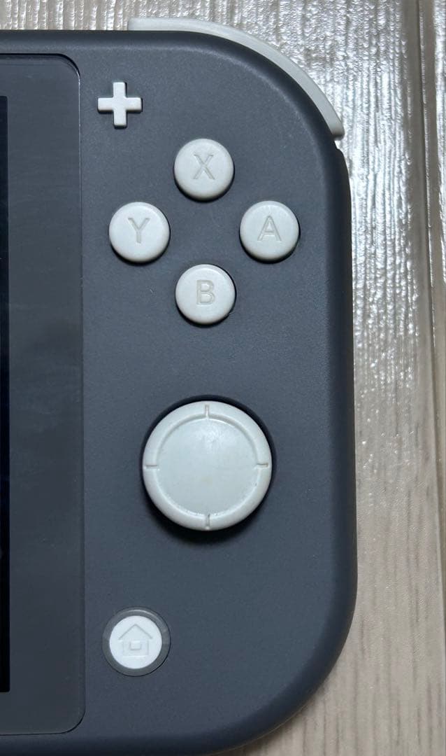 Switch Light　グレー　充電器＆箱あり