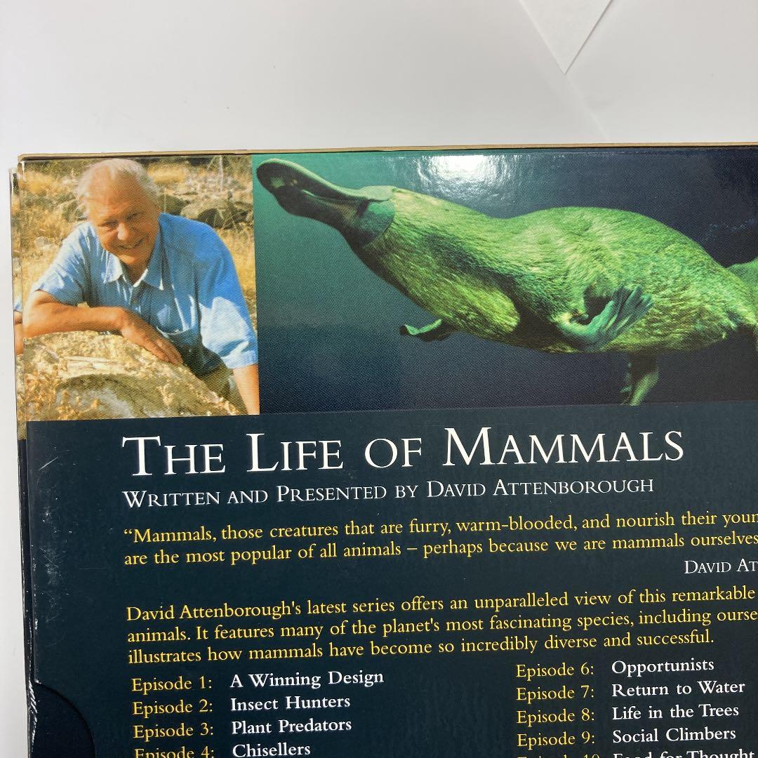 洋画・外国映画 DVD BBC THE LIFE OF MAMMALS