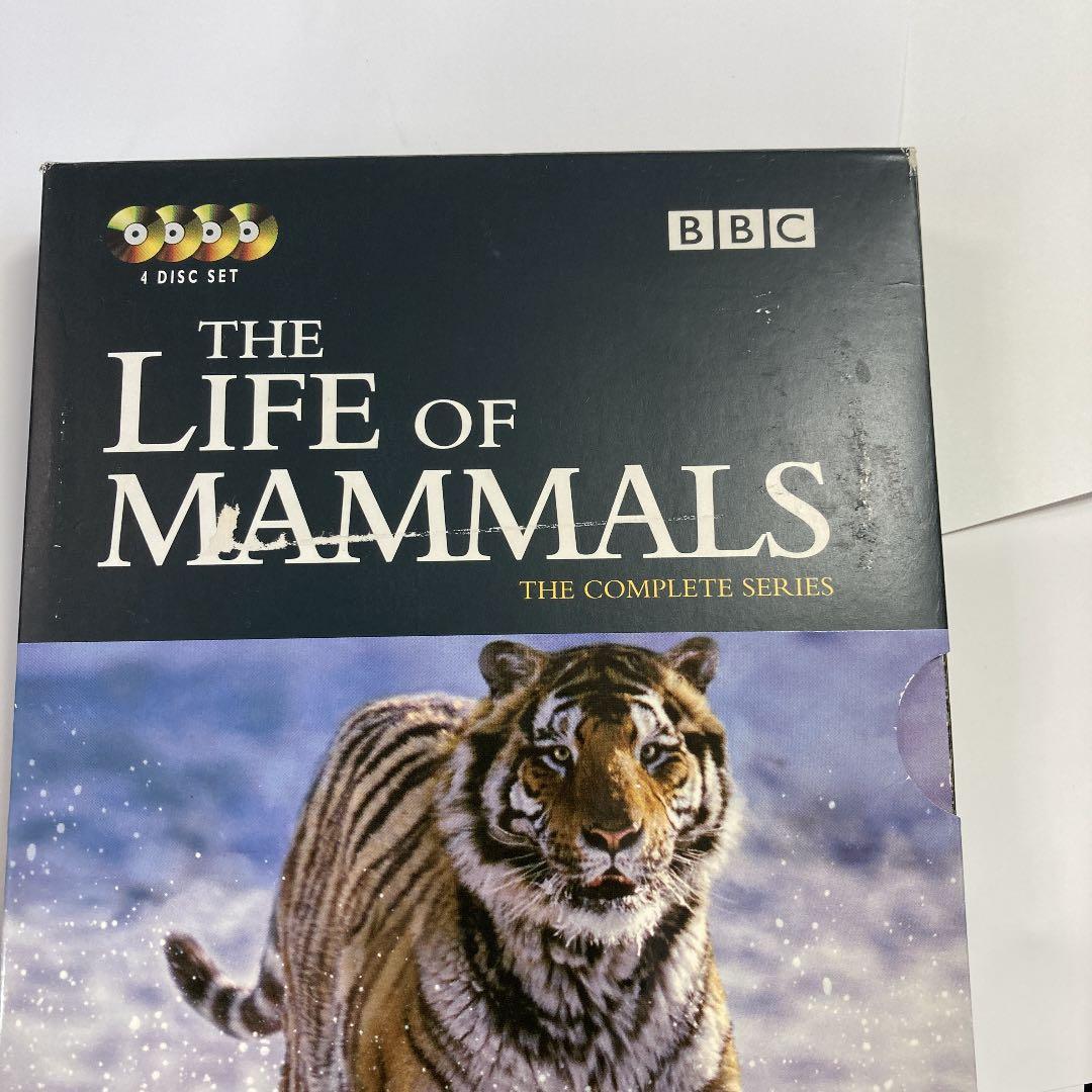 洋画・外国映画 DVD BBC THE LIFE OF MAMMALS