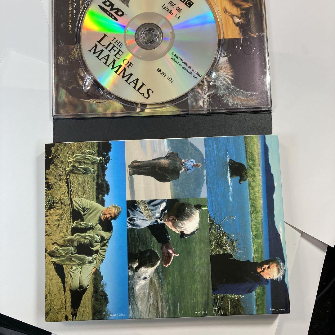 洋画・外国映画 DVD BBC THE LIFE OF MAMMALS