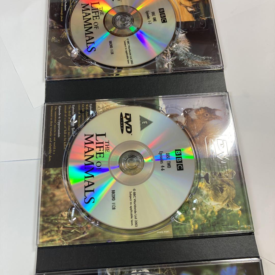 洋画・外国映画 DVD BBC THE LIFE OF MAMMALS