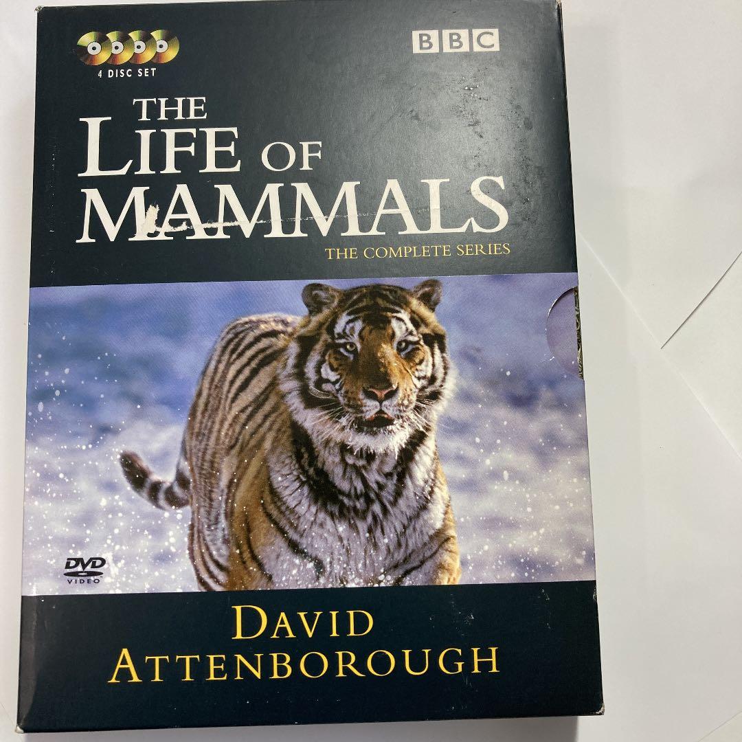洋画・外国映画 DVD BBC THE LIFE OF MAMMALS