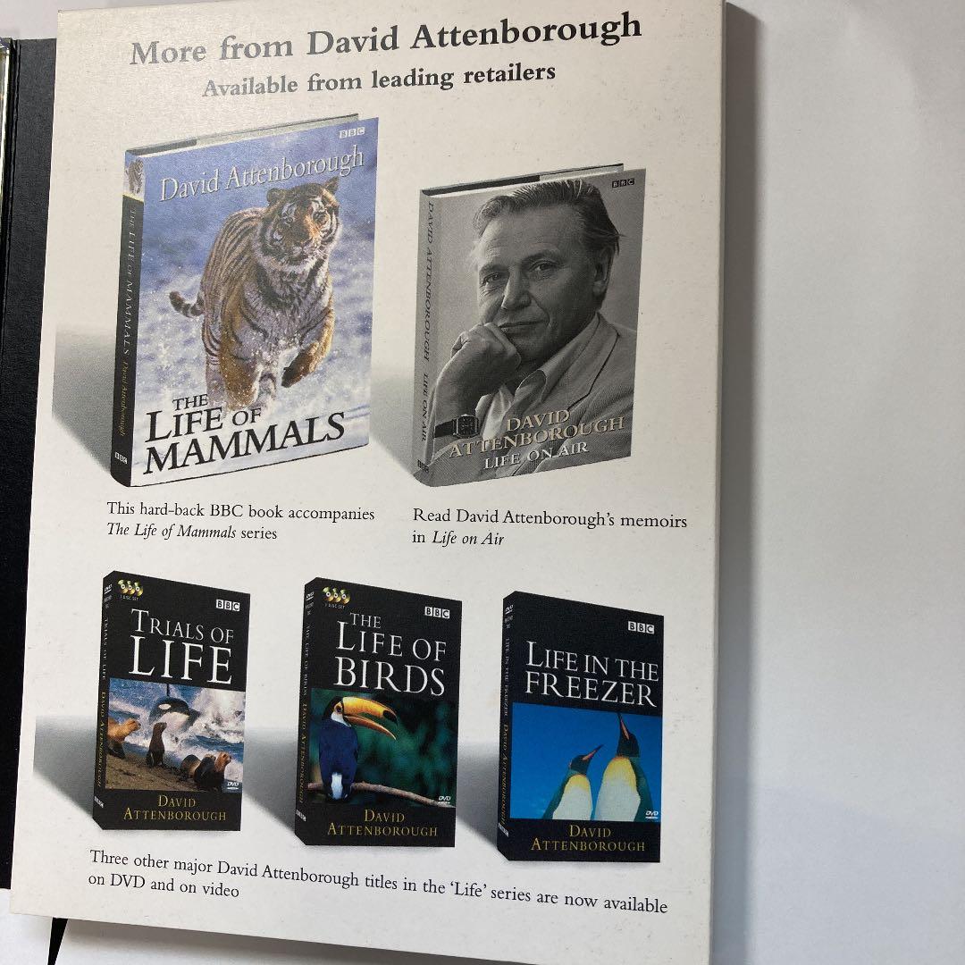 洋画・外国映画 DVD BBC THE LIFE OF MAMMALS