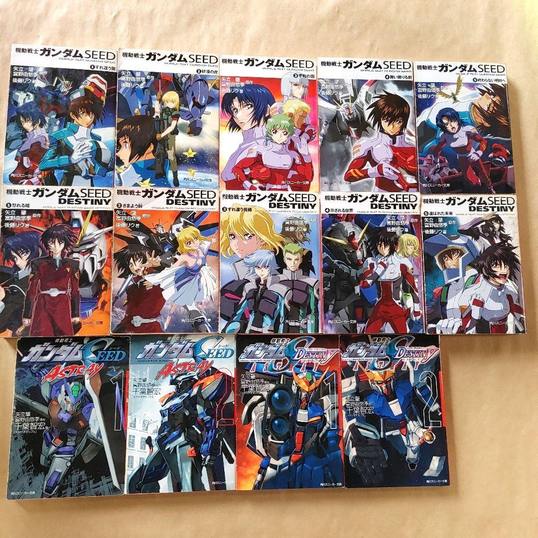 機動戦士ガンダムseed DESTINY ASTRAY 小説 14冊 全巻セット