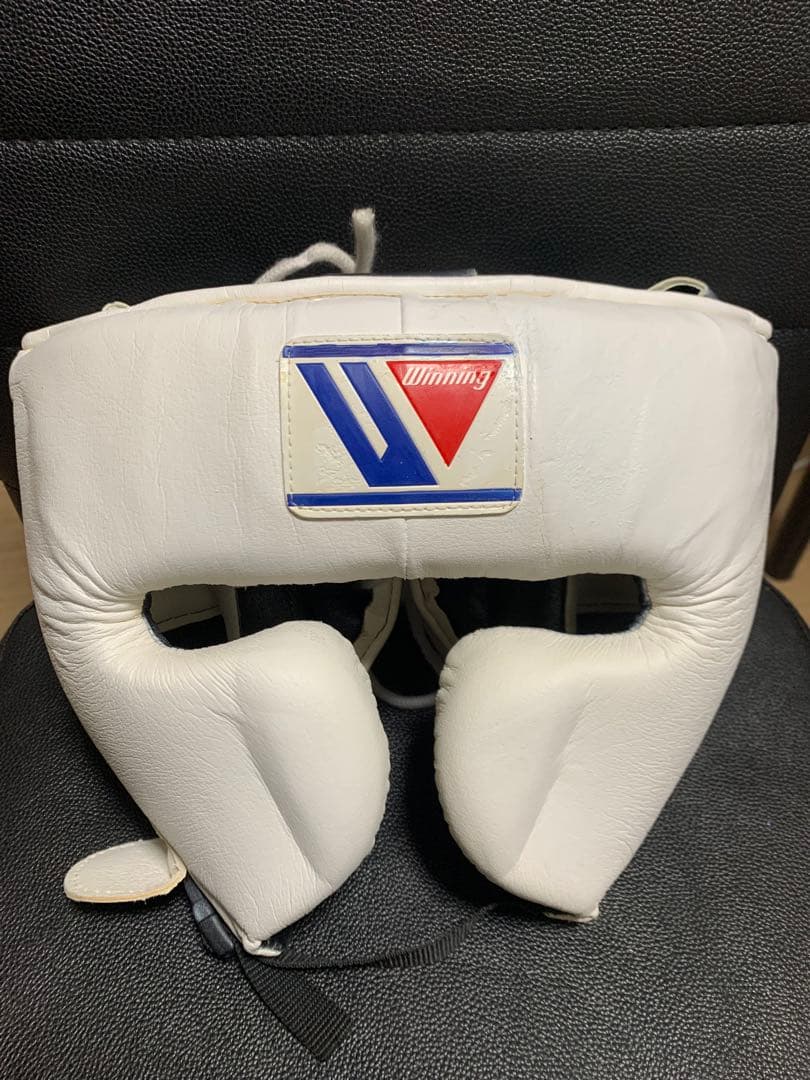 Winning ヘッドギア FG-2900 M size