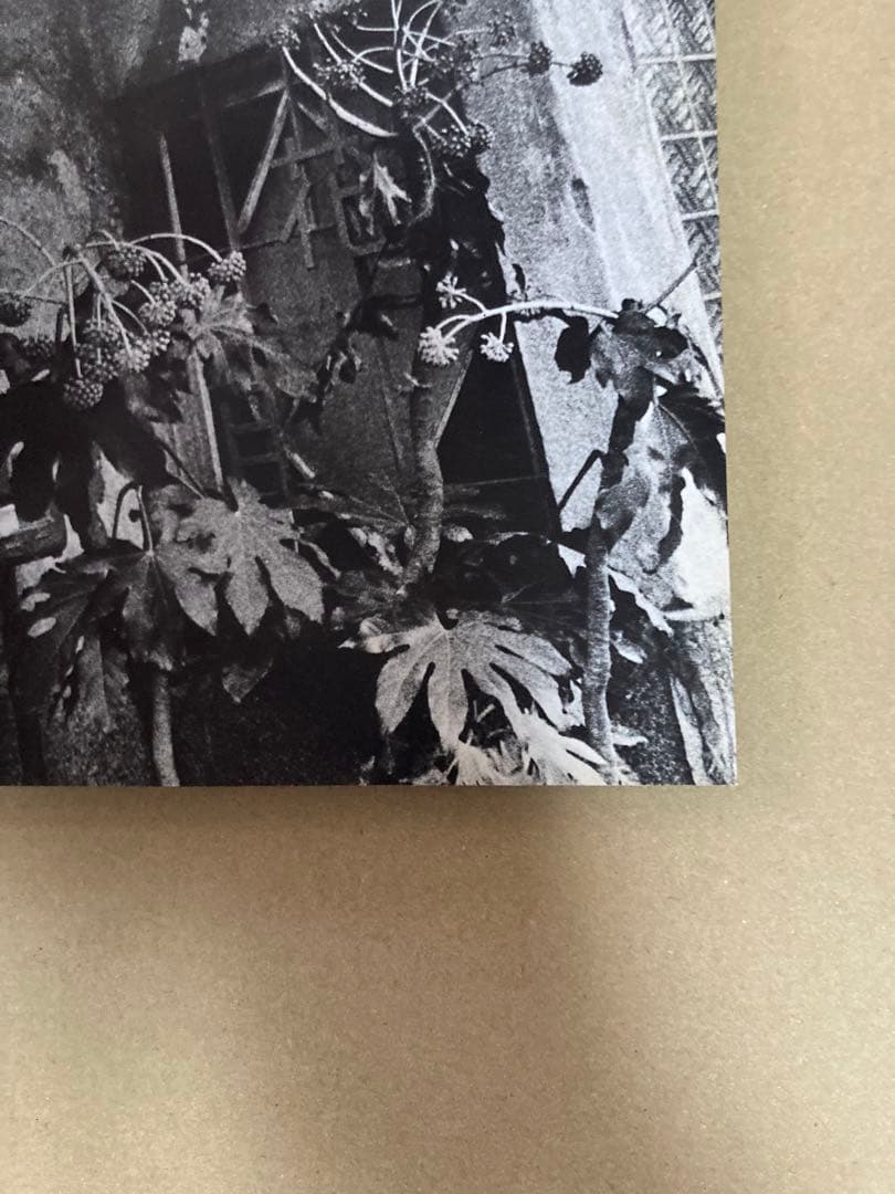 『石内都 写真集 絶唱、横須賀ストーリー』セール中