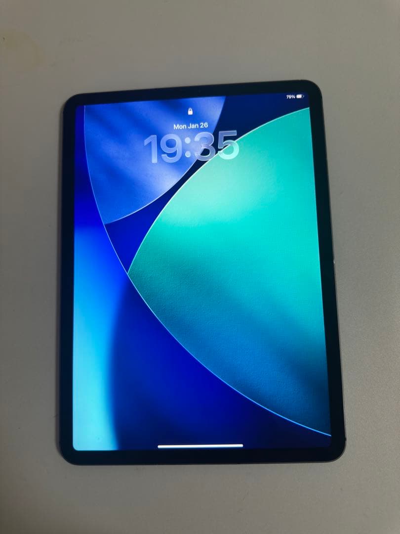 iPad本体 Apple iPad Pro 11-inch64GB wifi+celluar