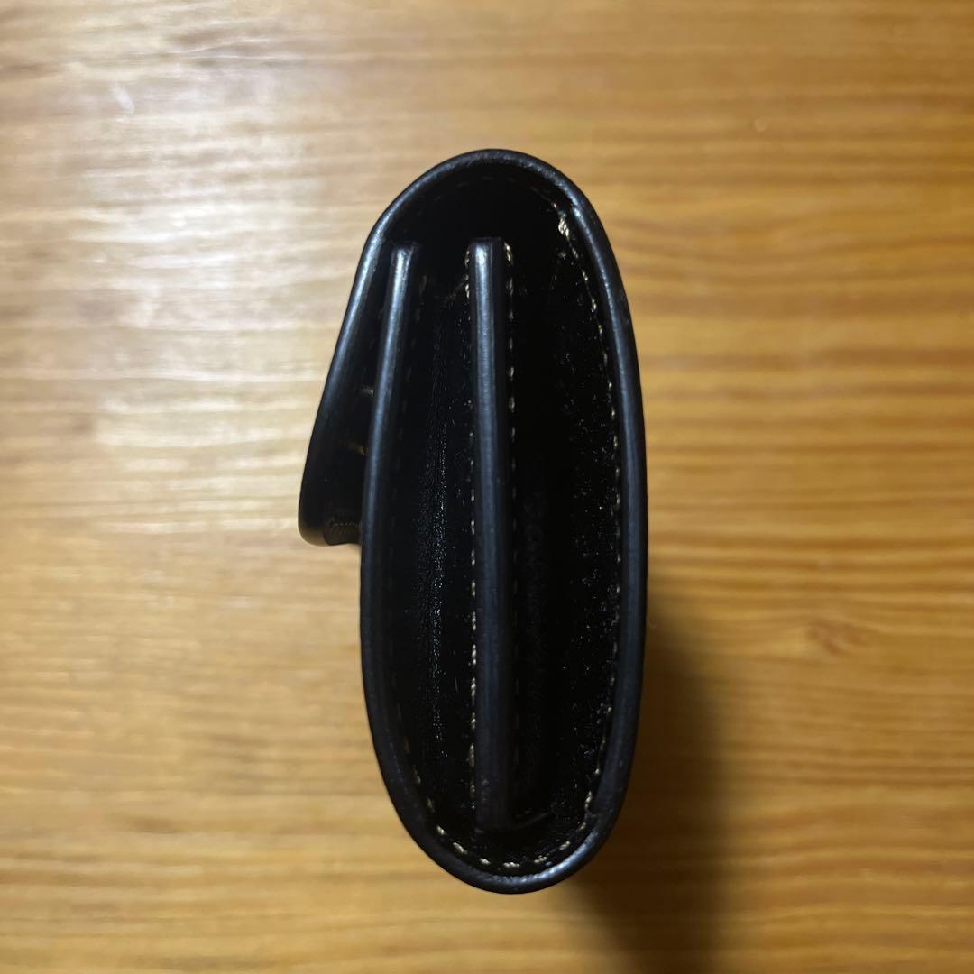 ワイルドスワンズ　ポント　クールキャット別注