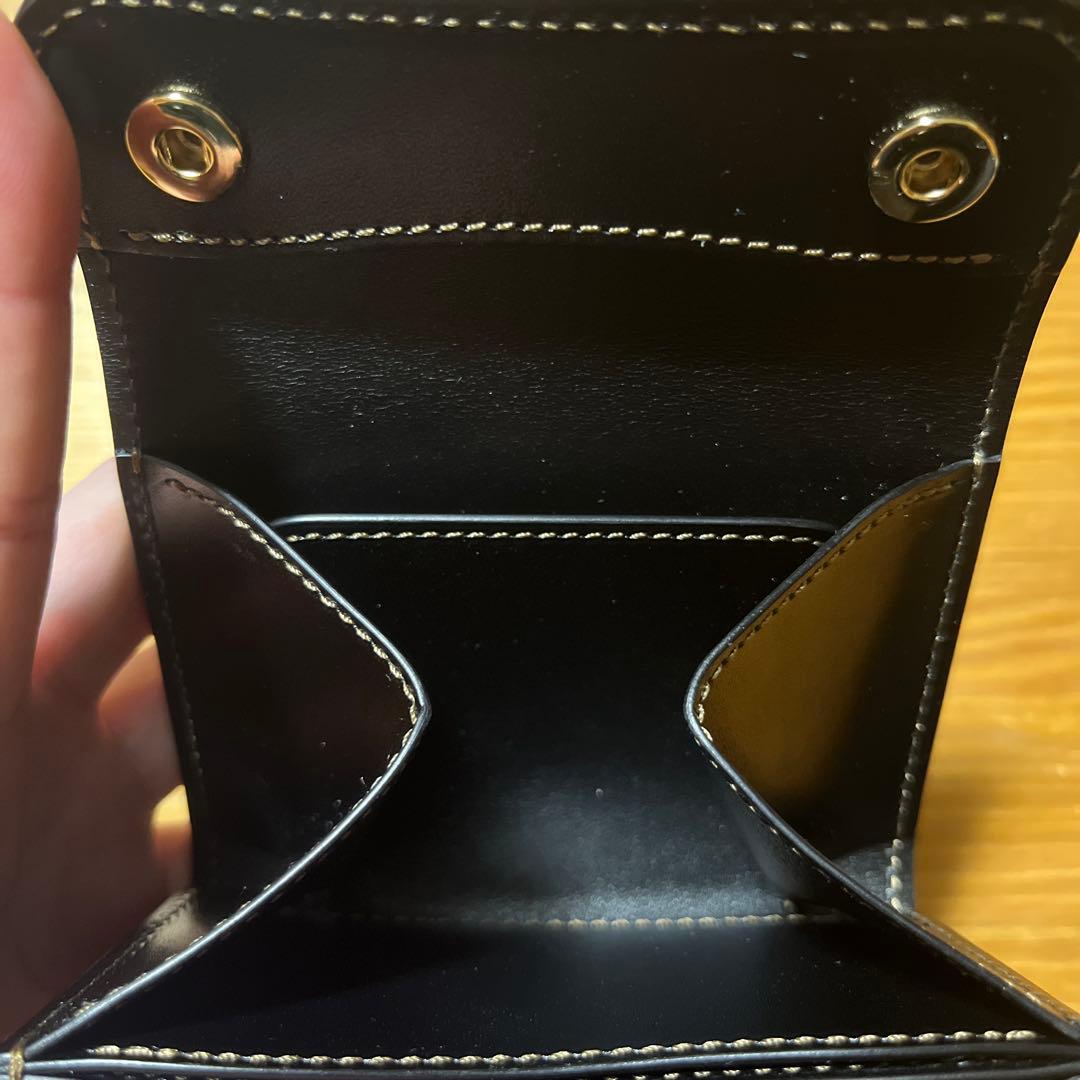 ワイルドスワンズ　ポント　クールキャット別注