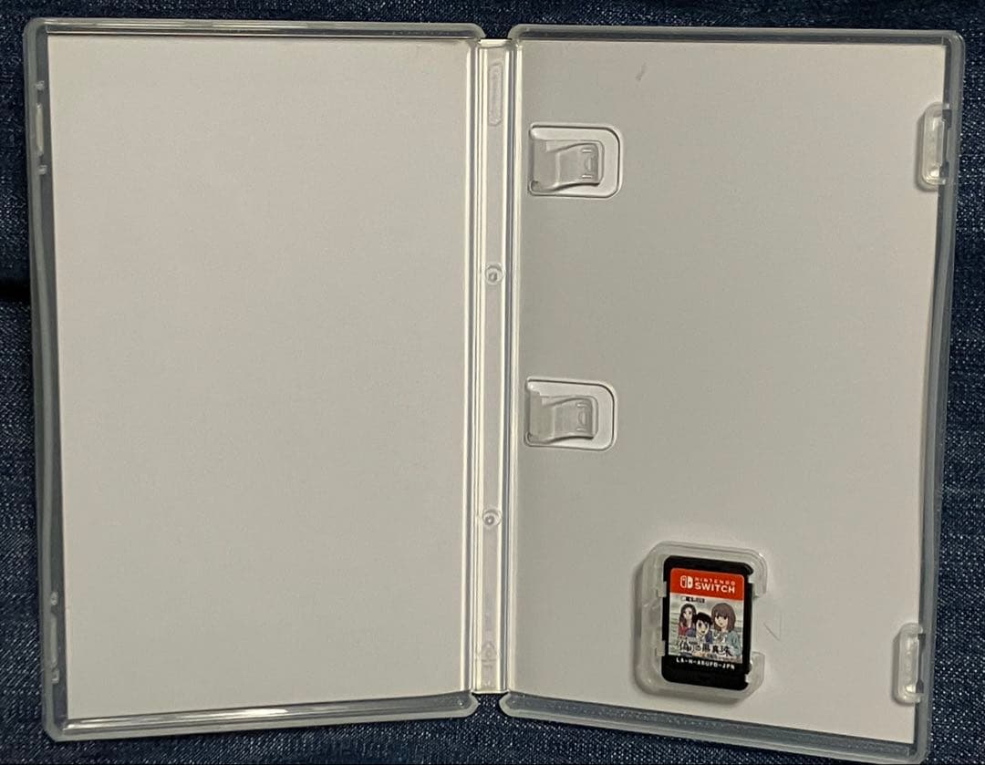 Nintendo Switch 伊勢志摩ミステリー案内 偽りの黒真珠