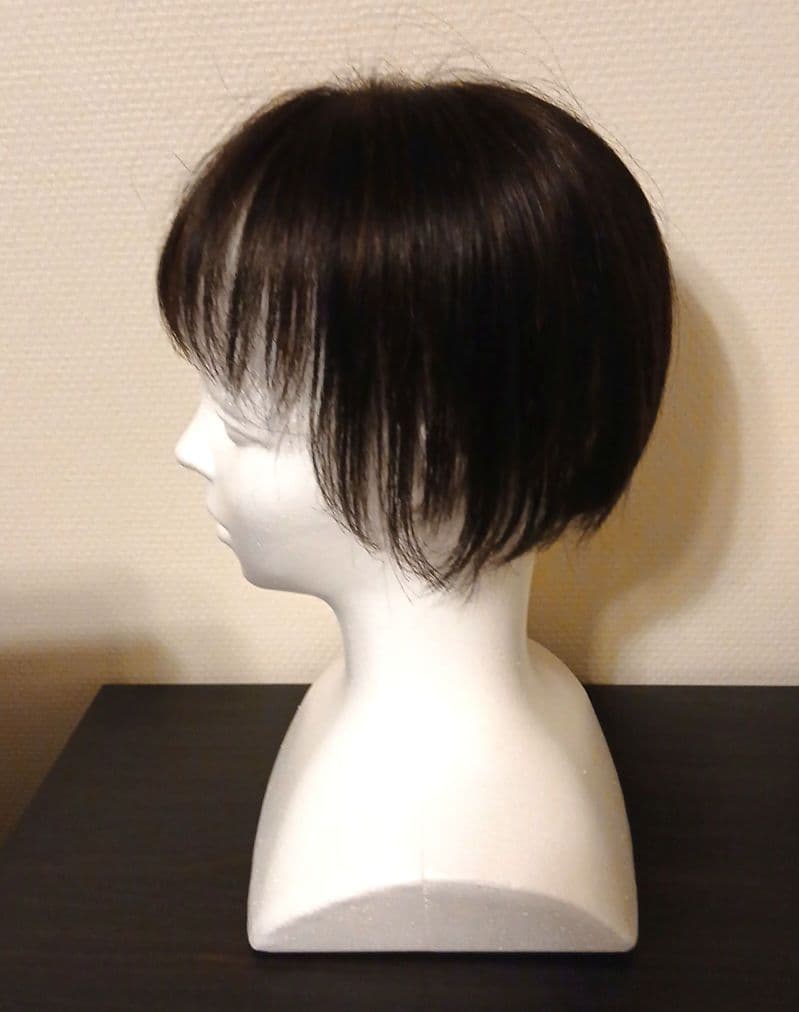 ダークブラウン ショートボブウィッグ 前髪あり　(ジュリアオージェ)