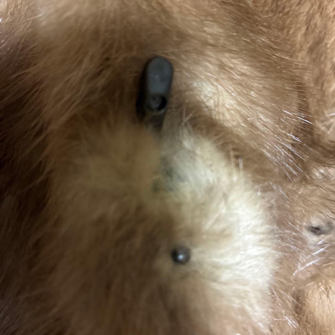 理*恵様 SAGA MINK 銀タグ