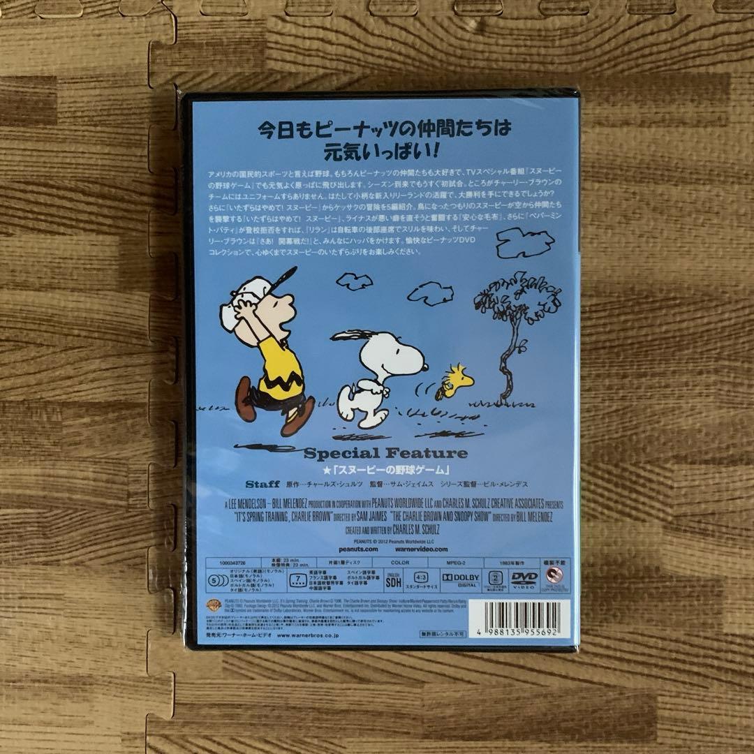 ★未開封　未使用品★ スヌーピー　PEANUTS DVD 10枚セット