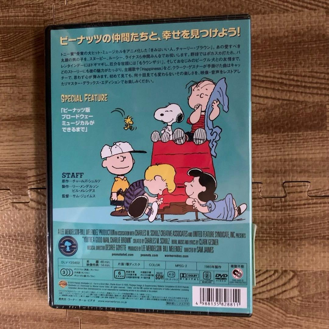 ★未開封　未使用品★ スヌーピー　PEANUTS DVD 10枚セット